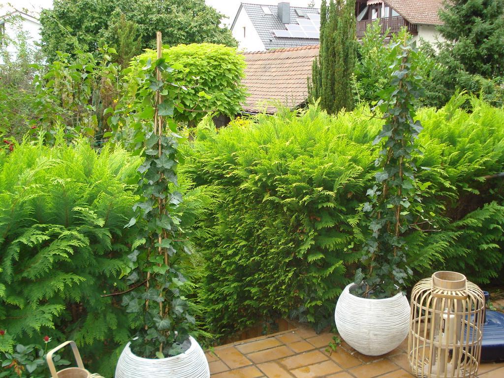 Ferienwohnung Sartorius Bensheim Quarto foto